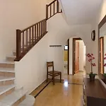 فيلة Aguamarina 4